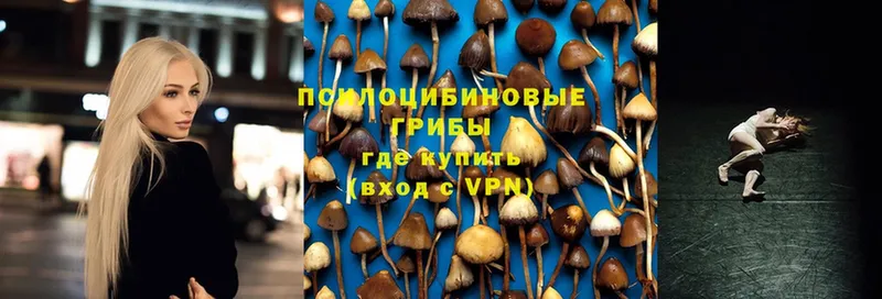 закладки  Анжеро-Судженск  Галлюциногенные грибы прущие грибы 